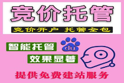 案例解析：SEM助力电商行业快速发展